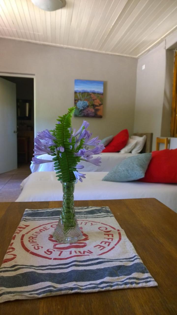 Artkaroo Stay Oudtshoorn Exteriér fotografie